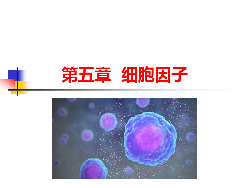 医学免疫学课件  第五章 细胞因子