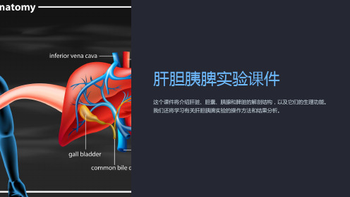 肝胆胰脾实验课件