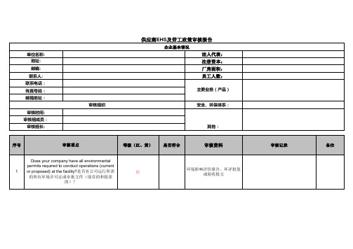 GE公司SRG 审核表