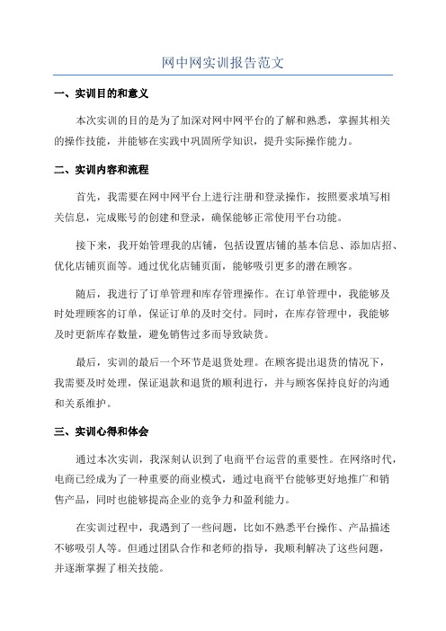 网中网实训报告范文