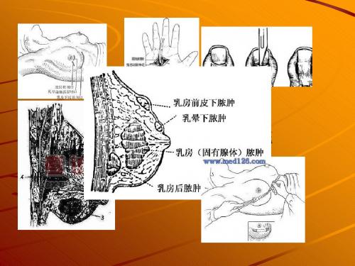 脓肿切开、换药、拆线ppt课件