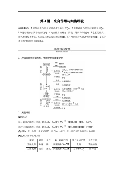 2020高考生物浙江专用大二轮复习讲义：专题二 细胞的代谢 第4讲 Word版含答案