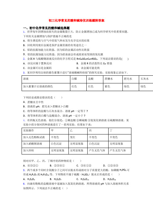 初三化学常见的酸和碱培优训练题附答案