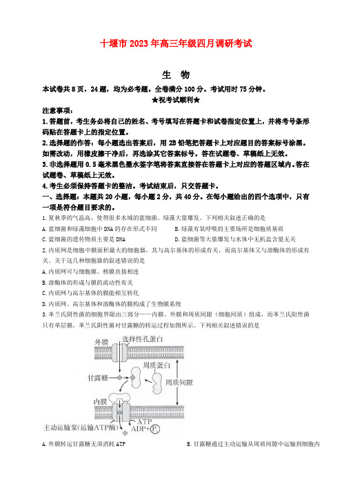 湖北省十堰市2023届高三下学期4月调研考试生物试题及答案