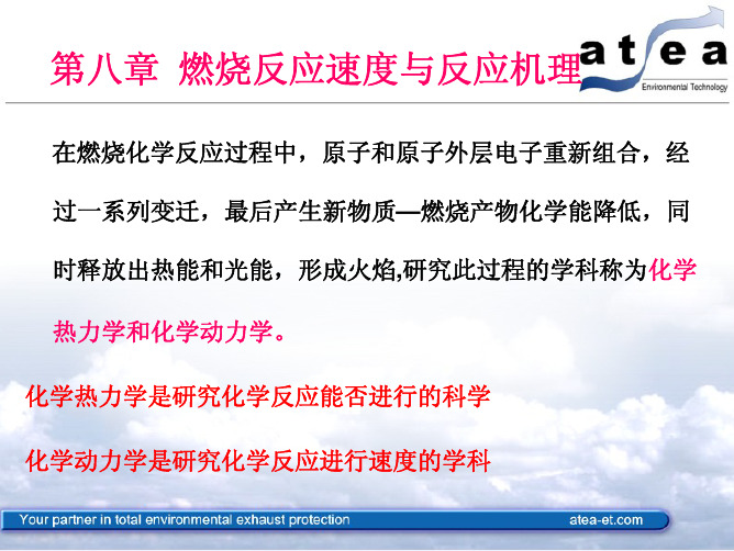 燃烧学第八章