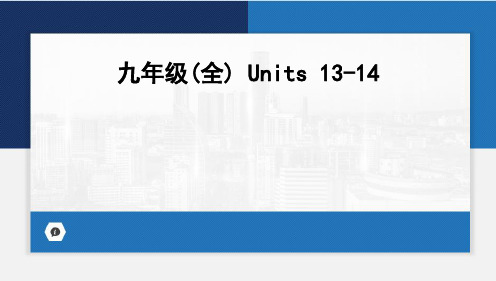 2024年山东省人教版中考英语一轮复习九年级(全册)Units1314课件