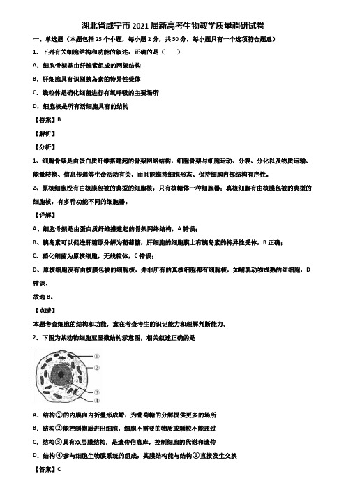 湖北省咸宁市2021届新高考生物教学质量调研试卷含解析