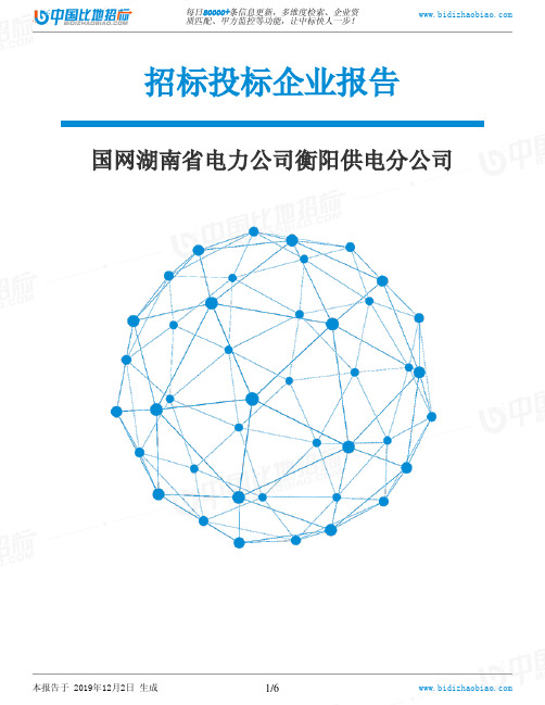 国网湖南省电力公司衡阳供电分公司-招投标数据分析报告