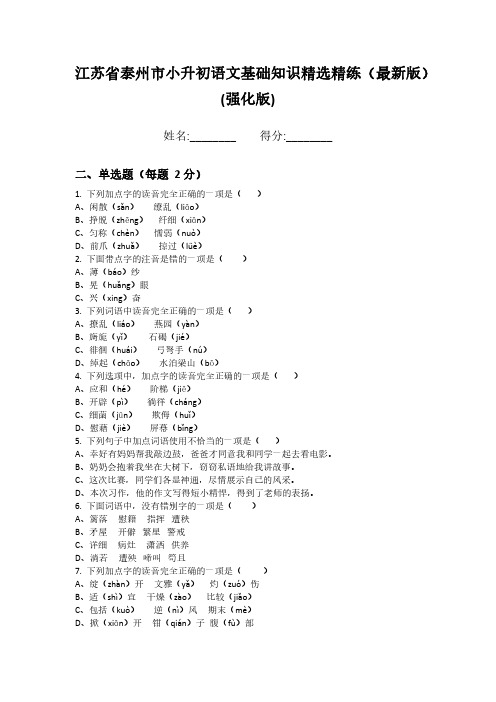 江苏省泰州市小升初语文基础知识精选精练(最新版)(强化版)