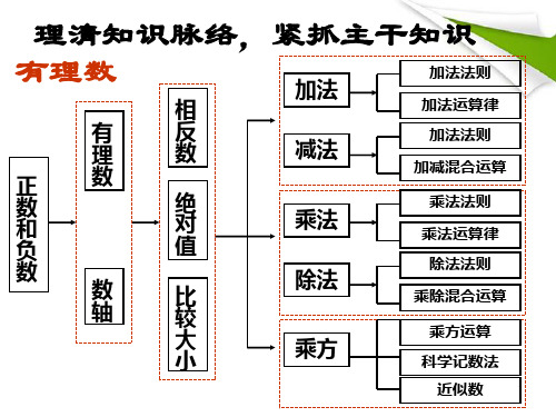 有理数复习课件