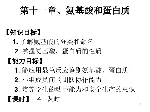 电子教案与课件：有机化学B幻灯片 第十一章  氨基酸和蛋白质