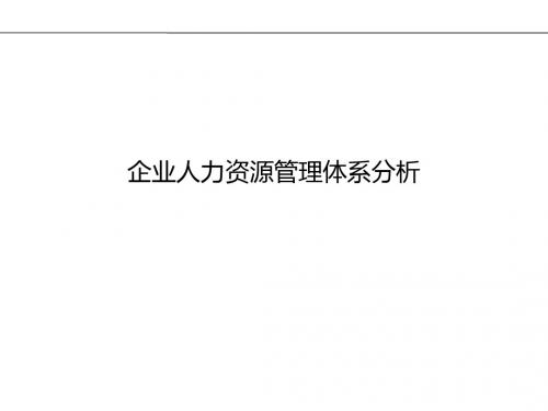 知名企业人力资源管理体系