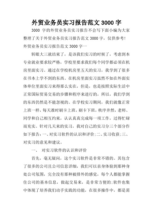 外贸业务员实习报告范文3000字