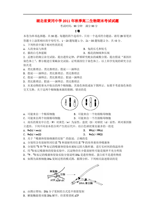 湖北省黄冈中学高二生物上学期期末考试试题新人教版