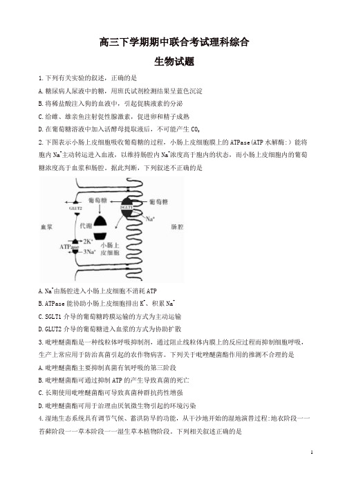 江西省赣中南五校高三下学期期中联合考试理综生物试卷(有答案)