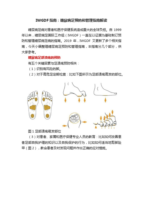 IWGDF指南：糖尿病足预防和管理指南解读