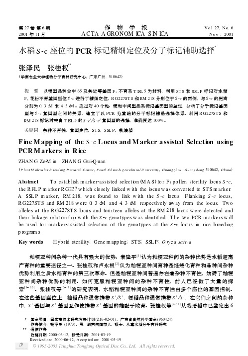 水稻S-c座位的PCR标记精细定位及分子标记辅助选择