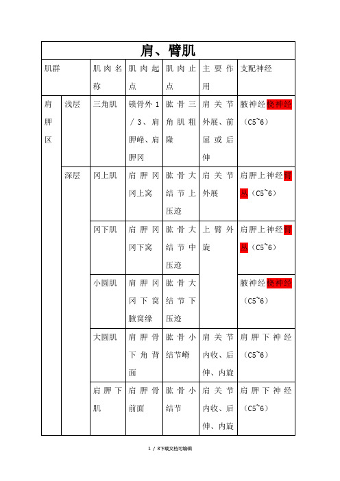 上肢肌肉分布、神经支配