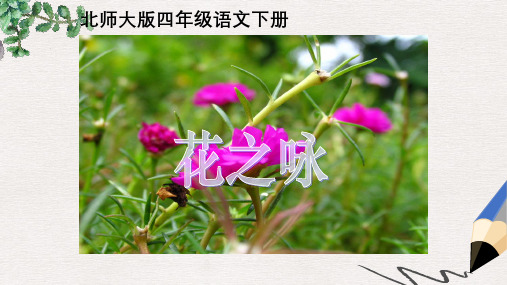 北师大版小学六年级语文下册《花之咏_2》精品ppt课件