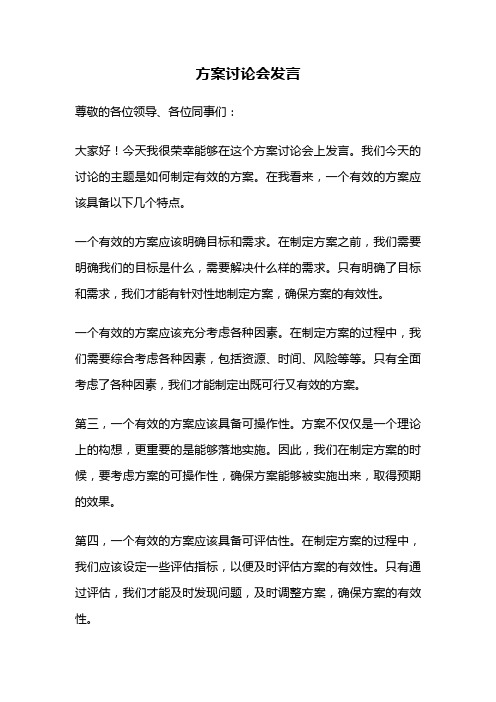 方案讨论会发言