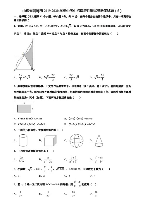 山东省淄博市2019-2020学年中考中招适应性测试卷数学试题(5)含解析