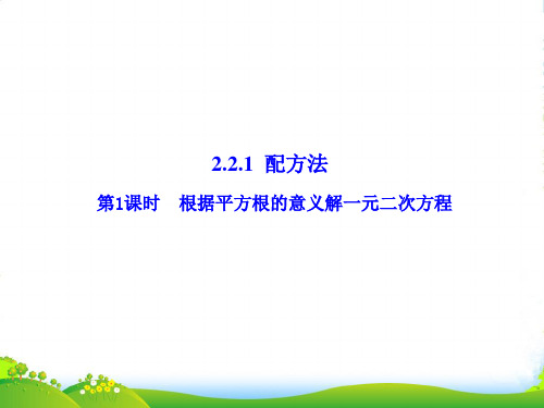 湘教版数学九年级上册课件：第1课时 根据平方根的意义解一元二次方程