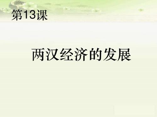 两汉经济的发展ppt14 人教版