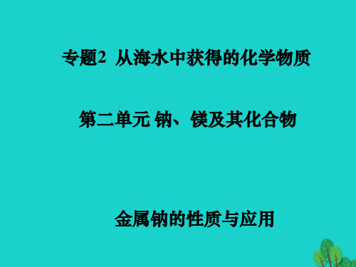 高中化学 2.2 金属钠的性质与应用课件 苏教版必修1