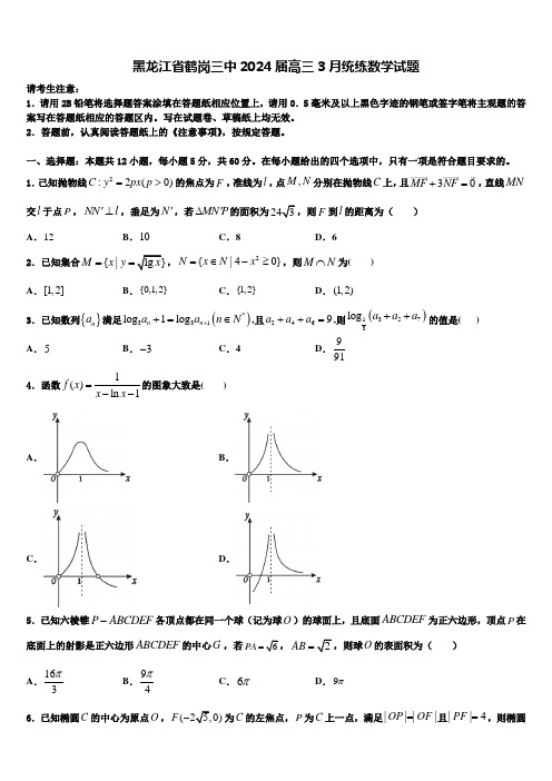 黑龙江省鹤岗三中2024届高三3月统练数学试题