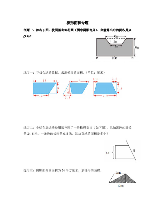 梯形的面积专项练习(试题)数学 五年级上册