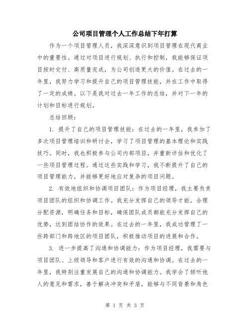 公司项目管理个人工作总结下年打算