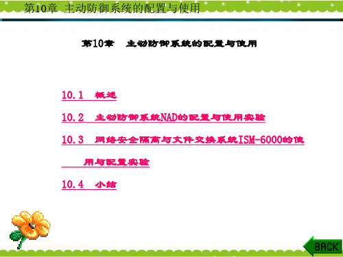 精品课件-信息安全原理与实践-第10章