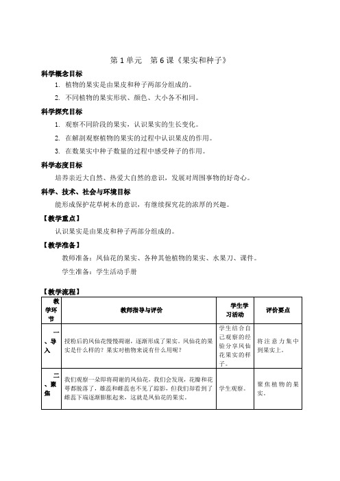 新版教科版四年级下册科学-1.6《果实和种子》教案