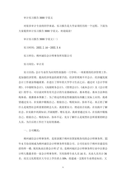 精选审计实习报告3000字范文