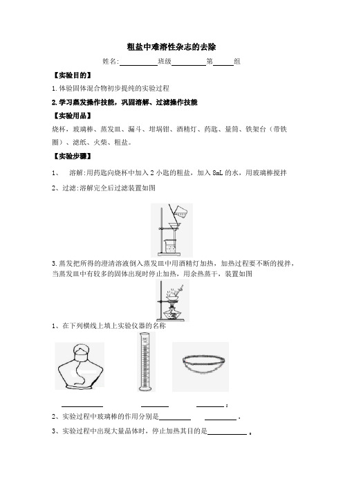 粗盐中难溶性杂志的去除实验报告单