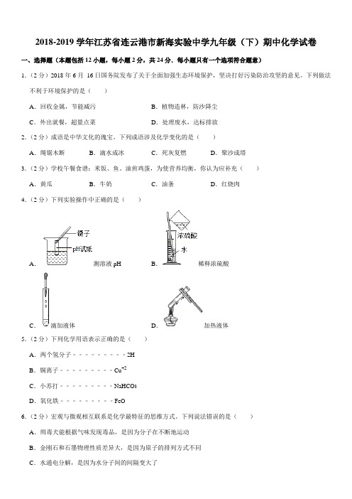 2018-2019学年江苏省连云港市新海实验中学九年级(下)期中化学试卷