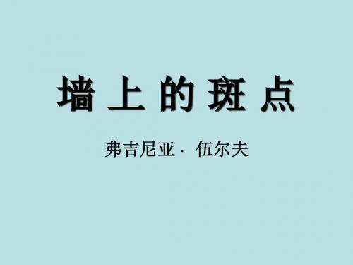 墙上的斑点(课件).ppt