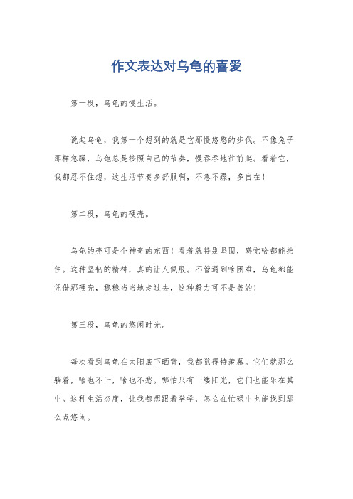 作文表达对乌龟的喜爱