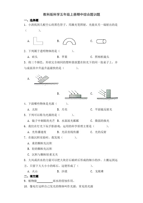 教科版科学五年级上册期中试卷(含答案)