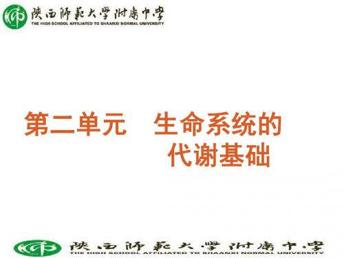 60天冲刺高考二轮三轮总复习专题学案课第2单元-生命系统的代谢基础浙江专用120页PPT