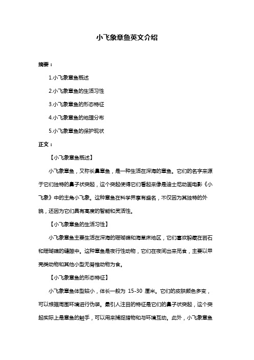 小飞象章鱼英文介绍