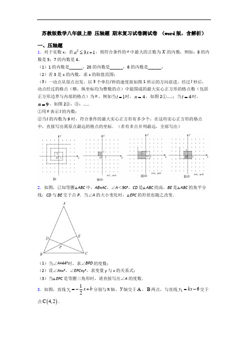 苏教版数学八年级上册 压轴题 期末复习试卷测试卷 (word版,含解析)