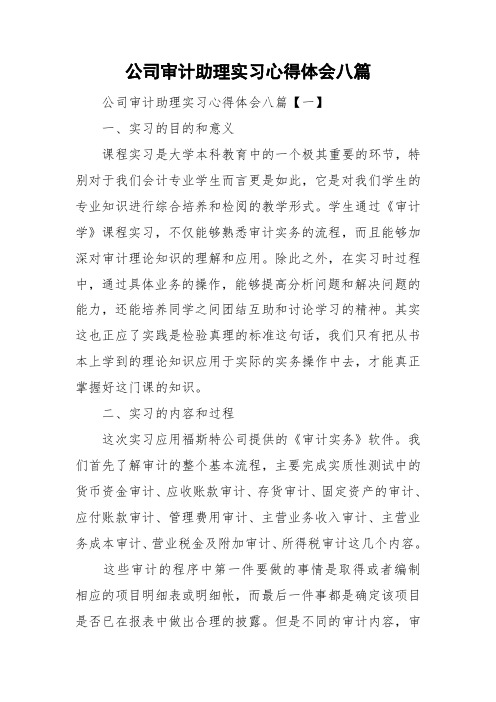 公司审计助理实习心得体会八篇