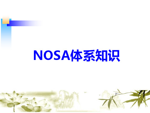 NOSA基本知识效果展示PPT课件