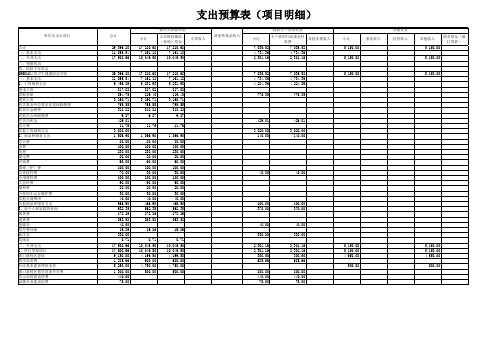 支出预算表(项目明细)