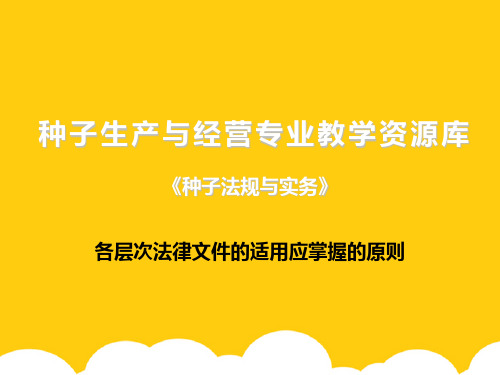 各层次法律文件的适用应掌握的原则ppt实用资料