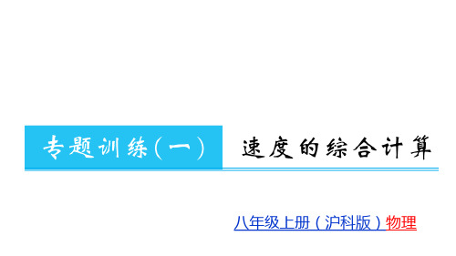 专题训练一沪科版八级物理(上册)教用习题课件ppt