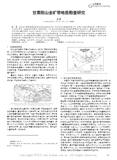 甘肃阳山金矿带地质勘查研究