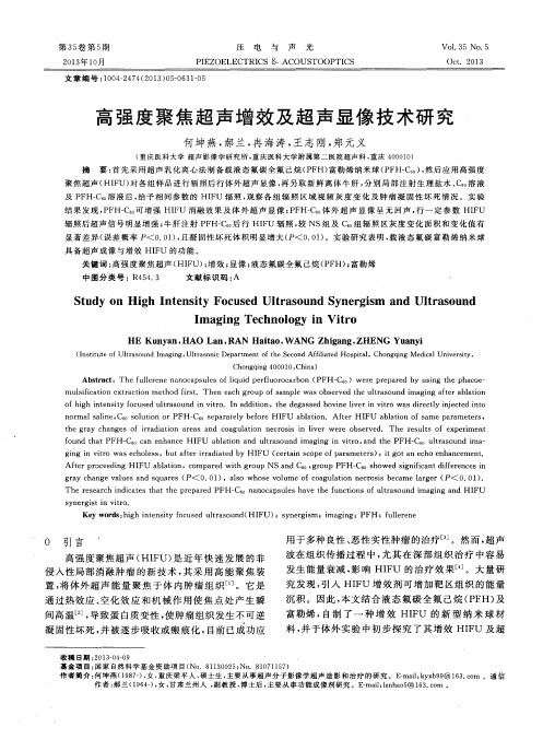 高强度聚焦超声增效及超声显像技术研究