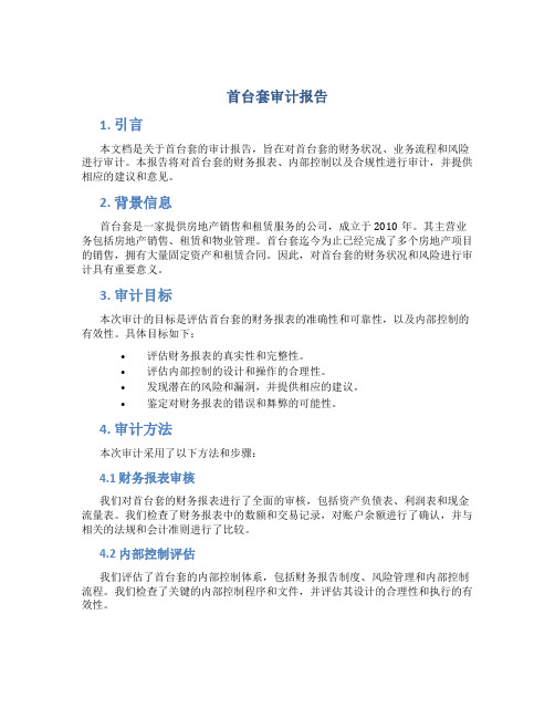 首台套审计报告